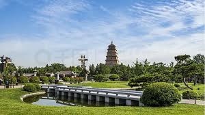 恩施绿化树苗批发市场在哪儿